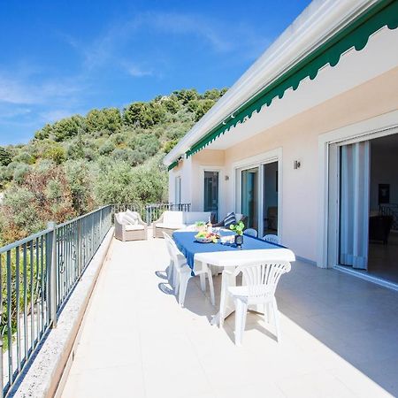 Villa Vianigrier Hills Nizza Exterior foto